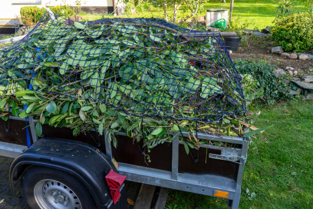 Best Carpet Removal and Disposal  in Mount Pleasant, TN